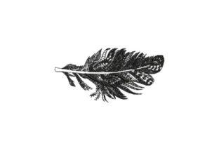 Feather Intricate